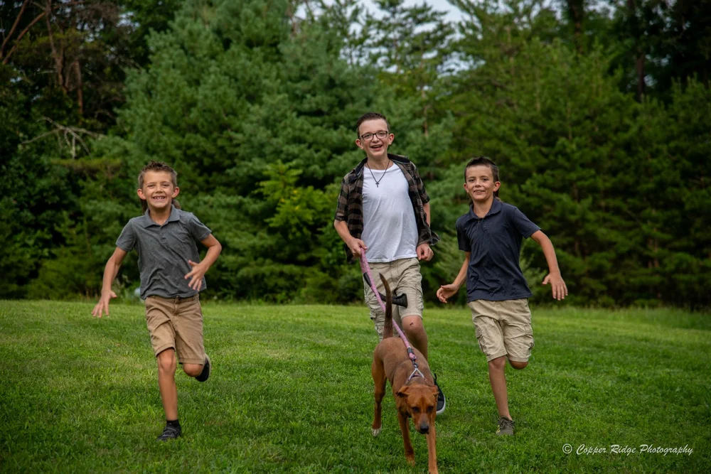 Three brothers and their dog running through a summer field at golden hour