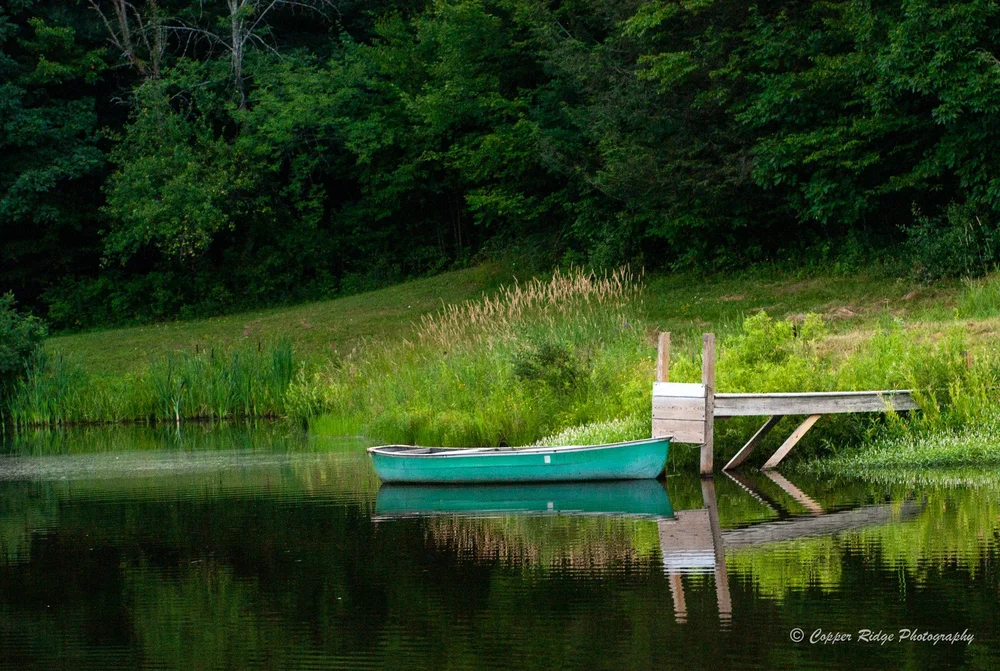 A canoe resting beside a wooden dock on a calm green pond